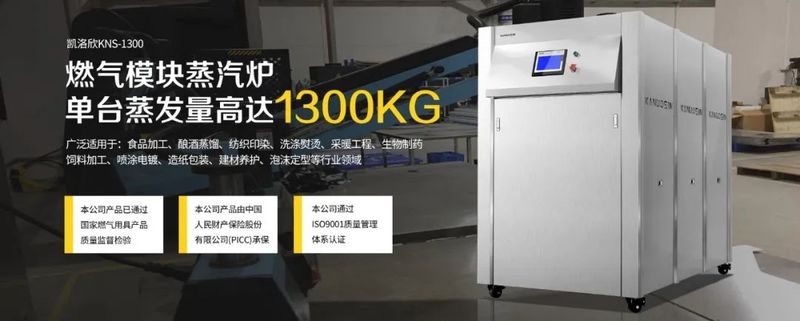 低氮模块锅炉厂家 低氮模块锅炉厂家